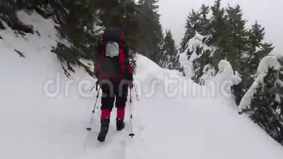 冬天在喀尔巴阡山脉的雪地里徒步旅行超脱视频的预览图