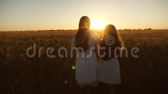 免费的女性旅行者在麦田欣赏日落妈妈在美丽的夕阳下轻轻地拥抱女儿视频的预览图