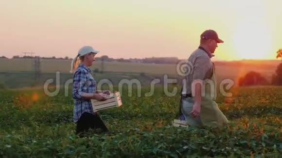 日落时分一家农民带着几箱庄稼穿过田野视频的预览图