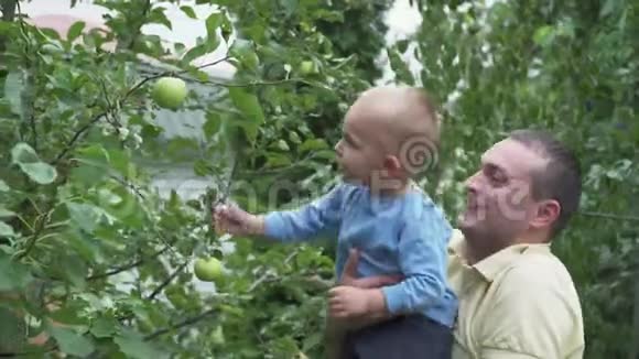 爸爸和他的儿子在果园里视频的预览图