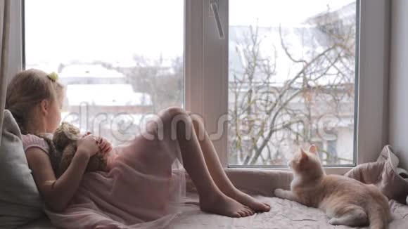 一个小女孩和她的猫和一只玩具熊躺在窗台上视频的预览图