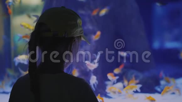 后景小女孩看着一个巨大的水族馆里面有海鱼启发和印象概念视频的预览图