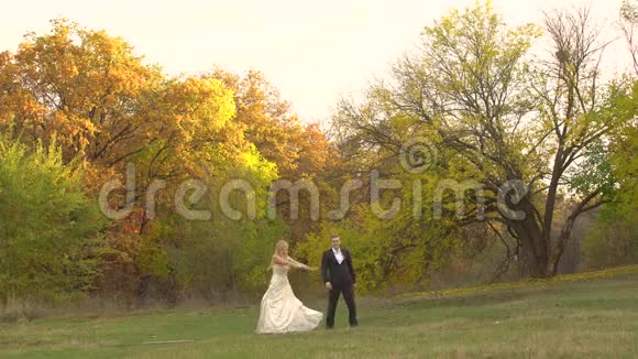 新婚快乐的新婚夫妇在美丽的秋天风景和彩色的秋天树上跳舞视频的预览图