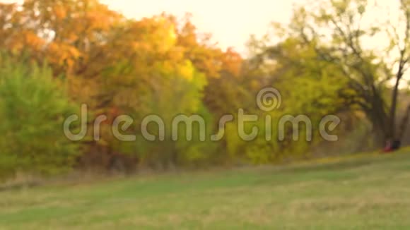 秋公园阳光明媚的日子新婚夫妇的后景走进远方牵手视频的预览图
