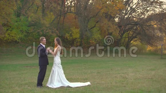 快乐的新婚夫妇在秋天公园的晴天互相享受男人吻他心爱的人的手视频的预览图