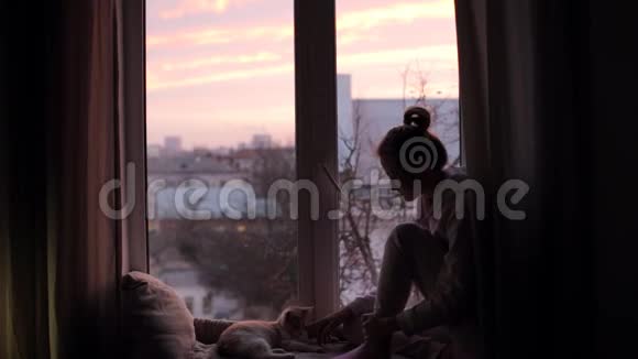清晨有只猫的女孩坐在窗台上视频的预览图