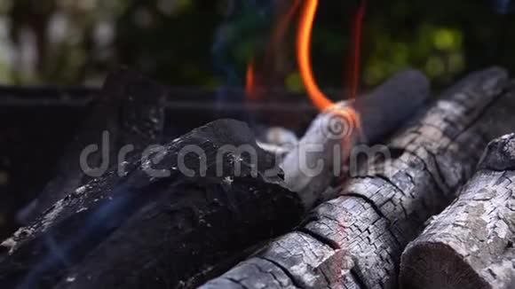 烧烤煤火烧视频的预览图