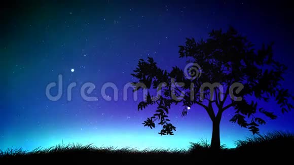 夜空和树环视频的预览图
