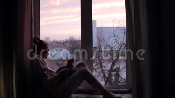 女孩看着粉红色的黎明和她的猫坐在窗台上视频的预览图