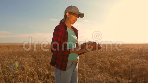 农夫面包师手里拿着面包的女人在麦田里带着发髻的糖果女孩商人在视频的预览图