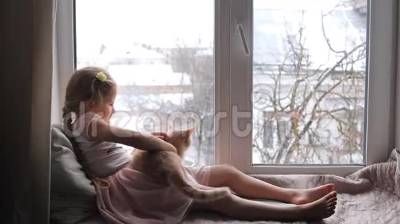 小孩坐在窗台上玩猫视频的预览图