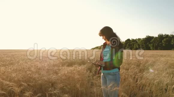女农夫手里拿着一块平板电脑农民带着平板电脑在麦田工作商人检查质量视频的预览图