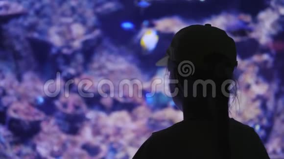 一个小女孩看着一个巨大的水族馆里面有海鱼视频的预览图