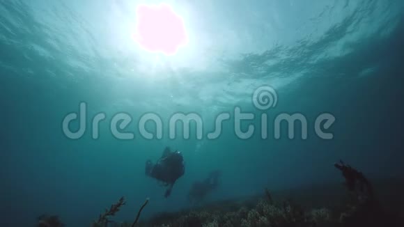 水肺潜水员蓝色海洋中探索水下世界视频的预览图