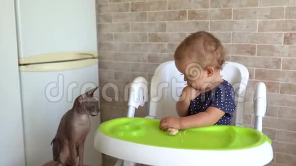 宝贝吃饭快乐的孩子和小猫在厨房吃饭视频的预览图