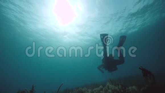 潜水员在蓝色的阳光下在水下游泳视频的预览图