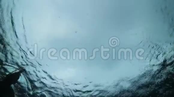浮潜妇女在水面上与明亮的天空游泳的剪影视频的预览图