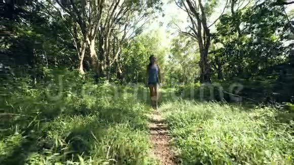 一个阳光明媚的日子年轻的女人沿着热带公园散步视频的预览图