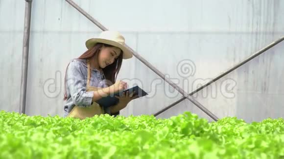 亚洲农民妇女拿着剪贴板和生蔬菜沙拉检查温室水培农场系统的质量视频的预览图