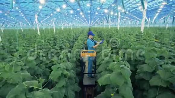 绿色建筑和女工种植植物视频的预览图