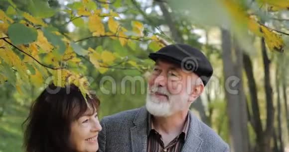 前摄秋天一对幸福快乐的老年夫妇在一个舒适的城市公园里他们在外面拥抱和休息视频的预览图