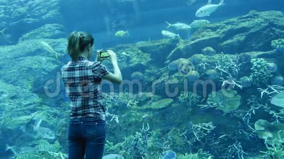 迪拜一个巨大的水族馆里一名妇女正在拍照视频的预览图