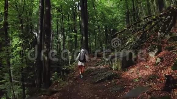 积极健康的时髦女孩在森林里徒步旅行空中飞行视频的预览图