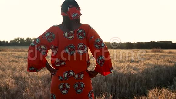 非洲的女农民穿着传统服装站在非洲的一片庄稼地小麦或大麦日落或日出时视频的预览图