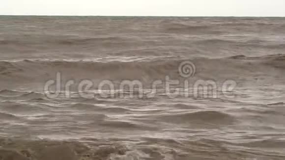 洪水汇入大海视频的预览图