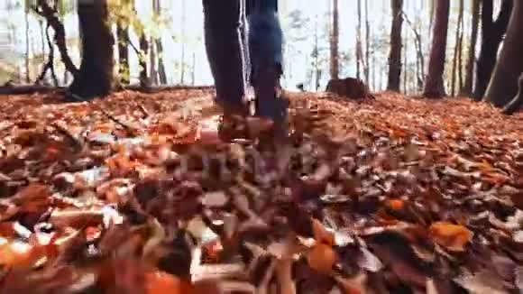 在秋天的森林里干落的树叶上女人的双腿迎着阳光照射视频的预览图