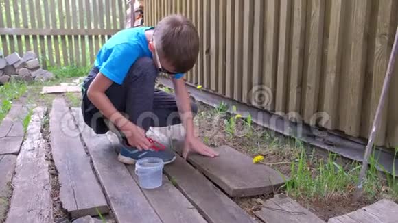 男孩在村子里的木板下收集虫子以便钓鱼视频的预览图