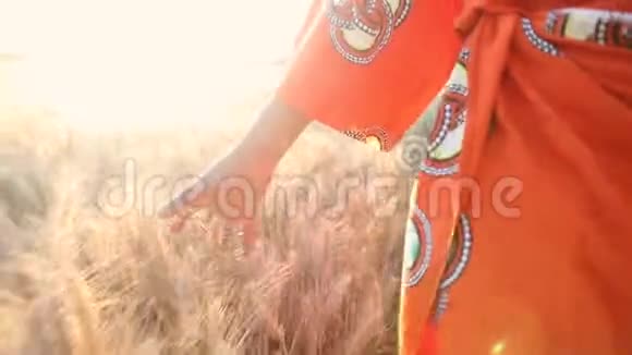 非洲妇女穿着传统服装手牵着手在日落时分摸着非洲农田里的庄稼视频的预览图