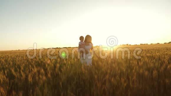 一个快乐的妈妈在日落时带着一个小女儿在一片麦田里抱着她宝贝和她妈妈一起走过视频的预览图