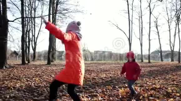 快乐美丽的小朋友玩秋叶季节性户外活动散步的健康生活方式视频的预览图