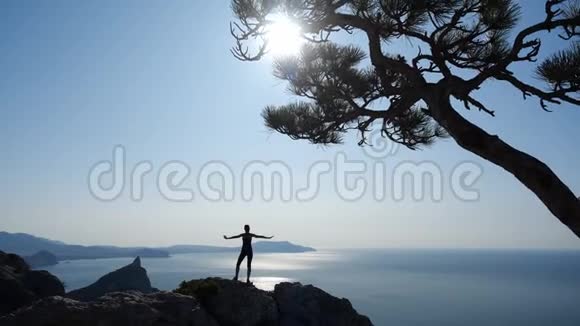 年轻的女运动员征服了一块高高的岩石站在它的山顶上欣赏着最明亮的太阳视频的预览图