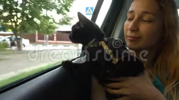 一只好奇的黑猫从车窗外看着一辆快速行驶的汽车坐在后座上的一个年轻女孩的腿上视频的预览图