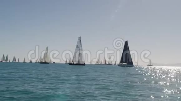 帆船统治着海洋视频的预览图