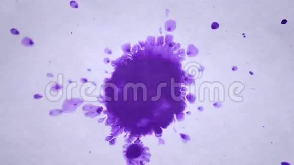 紫色黄色和粉红色的斑点在白纸上展开视频的预览图