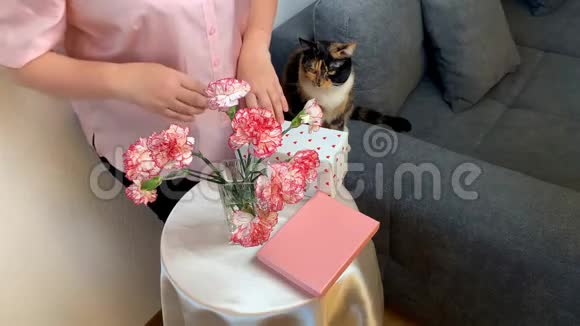 女人抚摸一只猫一束粉红色的康乃馨花微笑着盒子里的礼物躺在圆桌上舒适的家庭概念视频的预览图