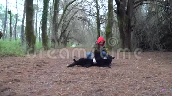 德国牧羊犬和它的主人在公园里散步视频的预览图