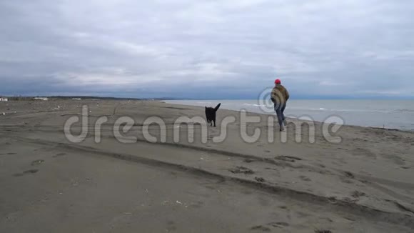德国牧羊犬及其主人沿着波蒂黑海沿岸散步视频的预览图
