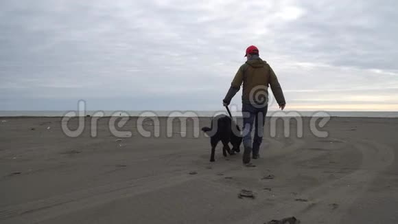 德国牧羊犬及其主人沿着波蒂黑海沿岸散步视频的预览图