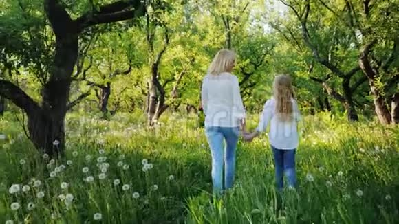 妈妈和女儿正在苹果园散步享受温暖的春天视频的预览图