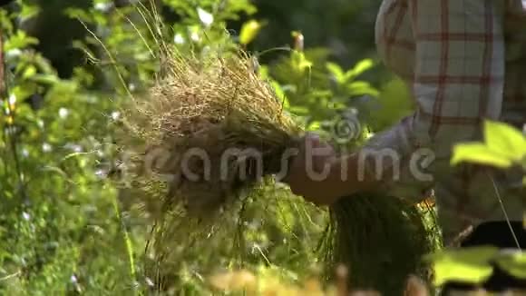 抱着杂草和鲜花视频的预览图