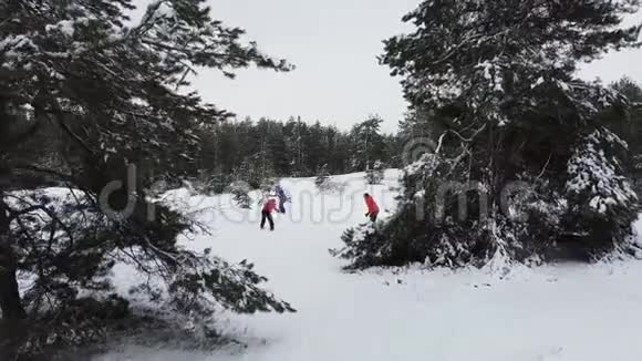 三个人玩雪球树枝之间的间隔视频的预览图