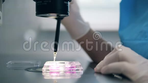 医院工作人员在人工受精过程中使用显微镜视频的预览图