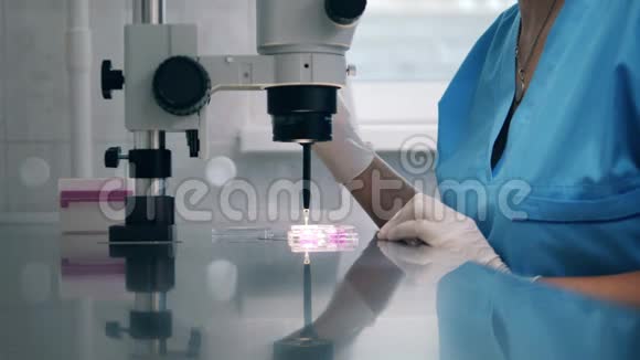 一名妇女使用医疗工具在医院实验室工作科学实验室的人工授精视频的预览图
