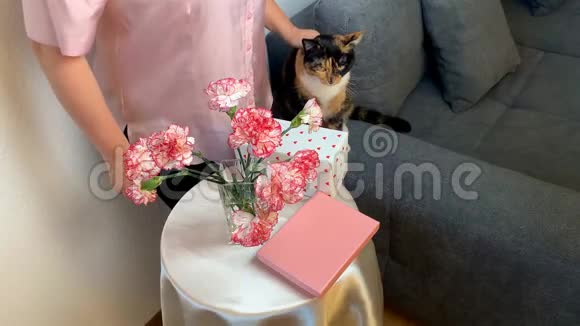 女人嗅着一束粉红色的康乃馨微笑着盒子里的礼物躺在圆桌上一只黑猫坐在灰色的沙发上视频的预览图