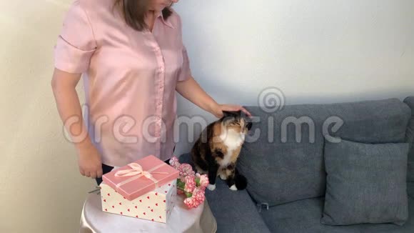 女人在盒子里打开礼物一束粉红色的康乃馨花站在花瓶里一只黑猫坐在灰色的沙发上看着视频的预览图
