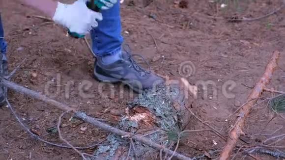 女在森林露营砍树木用斧作柴火双手特写视频的预览图